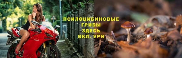 ALPHA-PVP Алексеевка