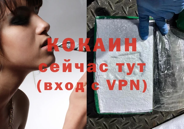 PSILOCYBIN Гусиноозёрск
