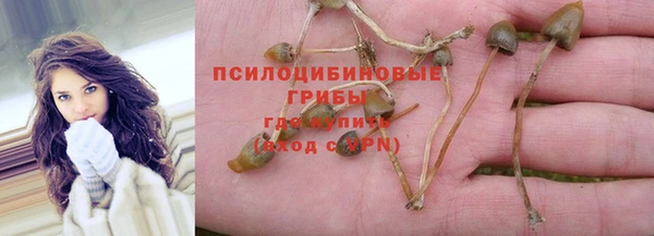 2c-b Алзамай