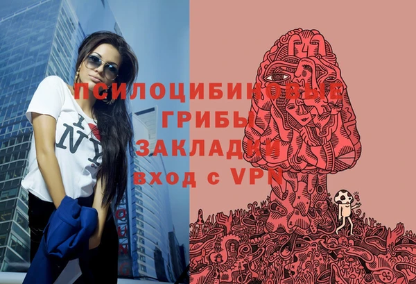 2c-b Алзамай