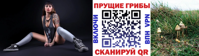 магазин продажи наркотиков  Арамиль  Псилоцибиновые грибы Magic Shrooms 